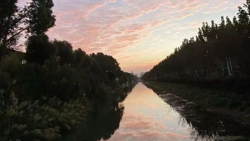 财税公司业务类型揭秘：企业合规之路的关键伙伴